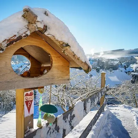 Penzion Haus Quentin Willingen (Upland)