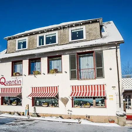 Pensión Haus Quentin Willingen (Upland)