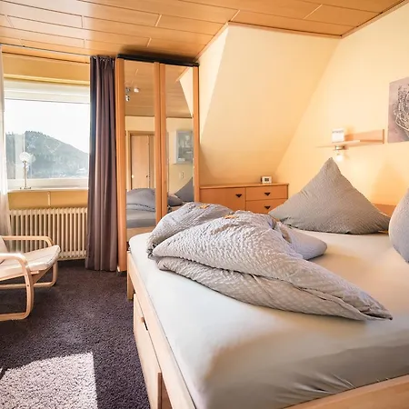 Penzion Haus Quentin Willingen (Upland)