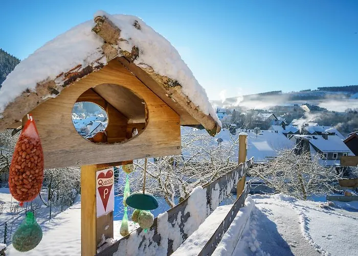 Maison d'hôtes Haus Quentin Willingen (Upland)
