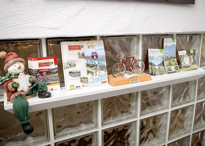 Haus Quentin Виллинген