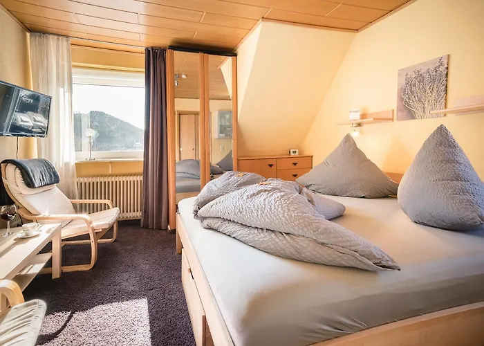 Гостевой дом Haus Quentin Виллинген